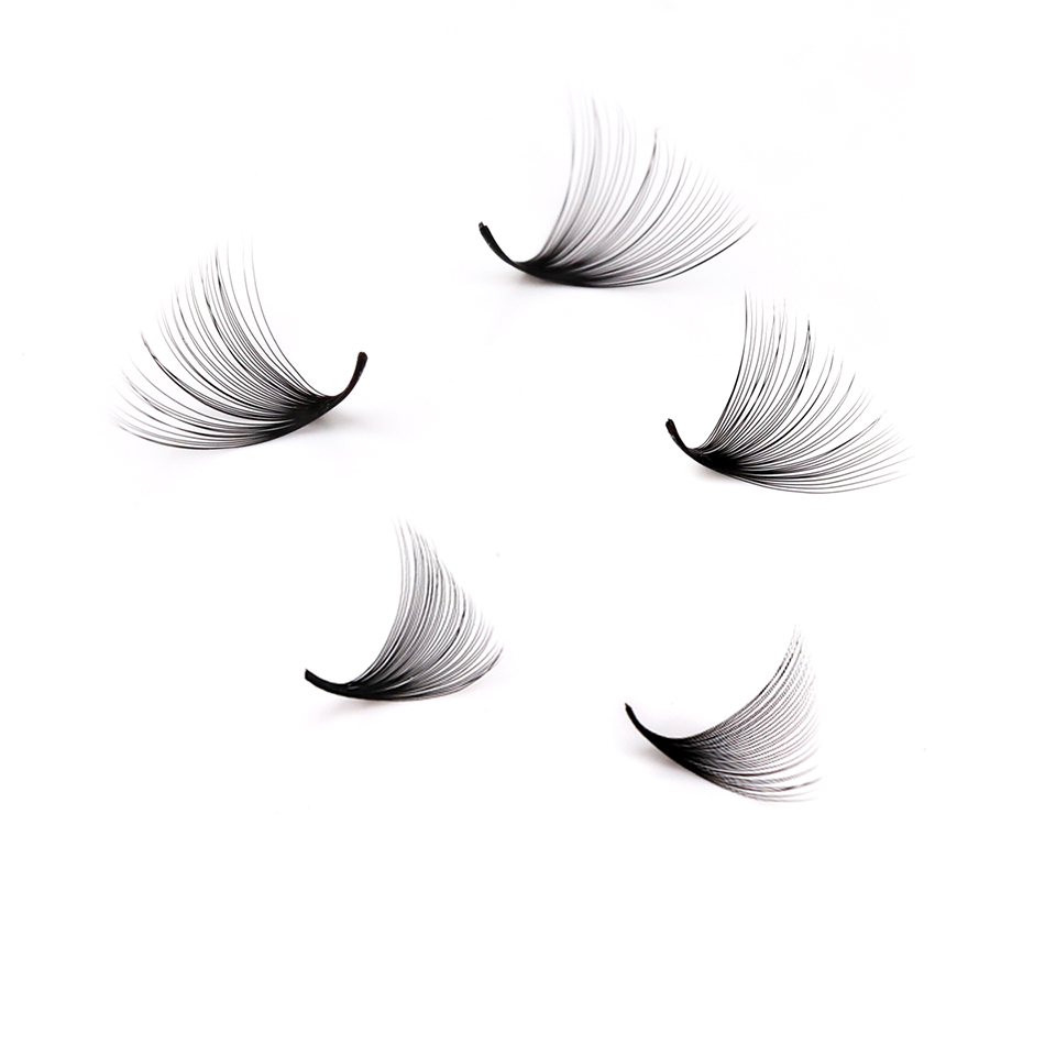 ถาดขนตาปลอม Lashprofessor XL แ - Eyelash Extension Russian บทวิจารณ์และราคา